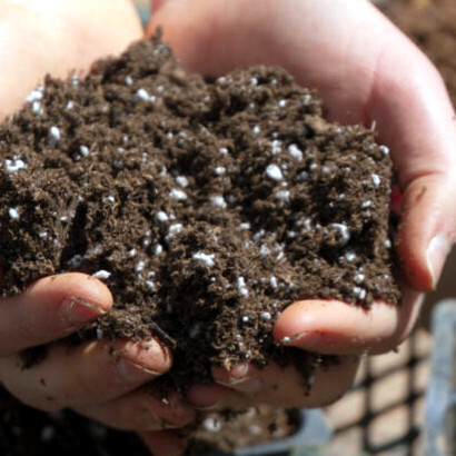 Ερασιτεχνικά Φυτοχώματα