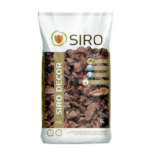 Φλοιός πεύκου